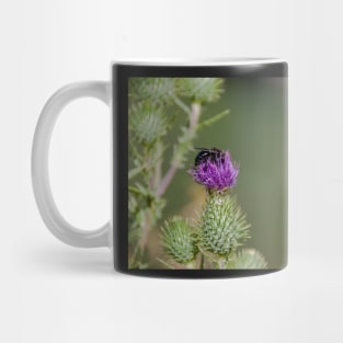 Carpenter Bee Mug